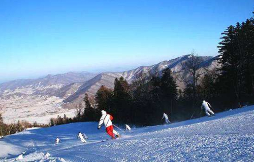 压雪车属于什么类型的滑雪场设备？